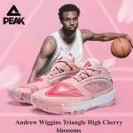 ANDREW WIGGINS TRIANGLE HIGH BASKETBALL