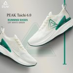 TAICHI 6.0 RUNNING SHOES